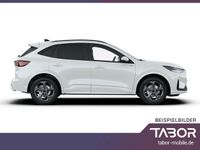 Neu Ford Kuga ST-Line 186 PS (136 kW) 2025 Weiß (frozen white) SUV