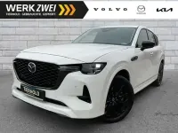 Gebraucht Mazda CX-60 Homura-Line 328 PS (241 kW) 2022 Arctic white cle SUV