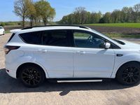 Gebraucht Ford Kuga ST-Line 150 PS (110 kW) 2018 Weiß SUV