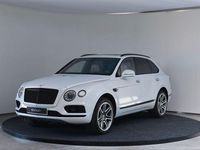 Brugt Bentley Bentayga 549 HK (403 kW) 2019 Hvid SUV