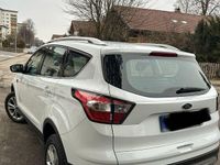 Gebraucht Ford Kuga Titanium 150 PS (110 kW) 2019 Weiß SUV
