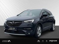 Gebraucht Opel Grandland X Ultimate 131 PS (96 kW) 2019 Grau SUV
