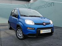 Gebraucht Fiat Panda 69 PS (50 kW) 2024 Blau Kleinwagen
