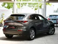 Gebraucht Mazda CX-30 Selection 116 PS (85 kW) 2020 Grau SUV