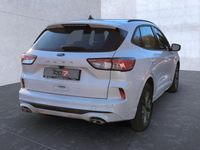 Gebraucht Ford Kuga ST-Line 150 PS (110 kW) 2023 Weiß SUV
