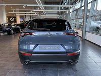 Neu Mazda CX-30 Nagisa 140 PS (102 kW) 2025 SUV