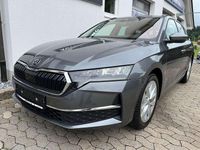 Gebraucht Skoda Octavia Selection 150 PS (110 kW) 2024 Graphitegrau metallic Kombi