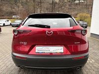 Gebraucht Mazda CX-30 Selection 150 PS (110 kW) 2022 Rot SUV