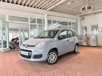 Gebraucht Fiat Panda Easy 69 PS (50 kW) 2020 Grau Kleinwagen