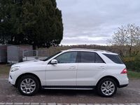 Gebraucht Mercedes ML250 204 PS (150 kW) 2014 Weiß SUV
