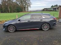 Gebraucht Kia ProCeed GT 204 PS (150 kW) 2024 Coupé