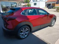 Gebraucht Mazda CX-30 Selection 122 PS (89 kW) 2020 Rot SUV