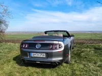 Gebraucht Ford Mustang 315 PS (231 kW) 2012 Grau Cabrio
