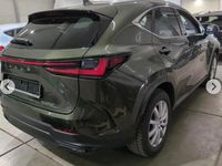 Gebraucht Lexus NX350h 190 PS (139 kW) 2022 Grün SUV