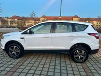 Gebraucht Ford Kuga Trend 120 PS (88 kW) 2019 Weiß SUV
