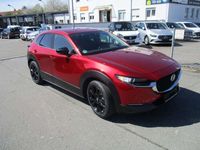 gebraucht Mazda CX-3 0 Homura 2WD/Neuwertig