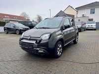 Gebraucht Fiat Panda Cross 69 PS (50 kW) 2020 Colore esterno (colosseo grau) Kleinwagen