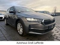 Gebraucht Skoda Octavia Selection 150 PS (110 kW) 2025 Grau Kombi