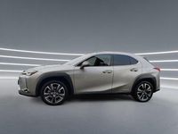 Gebraucht Lexus UX 250h 184 PS (135 kW) 2022 Grau SUV