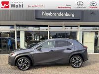 gebraucht Lexus UX 250h Style Edition NEUES MODELL ACC LED