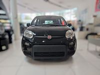 Neu Fiat Panda 69 PS (50 kW) 2025 Schwarz Limousine