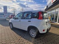 Gebraucht Fiat Panda 69 PS (50 kW) 2023 Weiß Kleinwagen