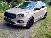 Gebraucht Ford Kuga Vignale 230 PS (169 kW) 2019 Beige SUV