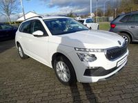 Neu Skoda Kamiq Selection 116 PS (85 kW) 2026 Moonweiß perleffekt SUV