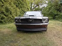 Gebraucht Ford V8 245 PS (180 kW) 1966 Schwarz