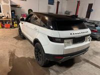 Gebraucht Land Rover Range Rover evoque 150 PS (110 kW) 2018 Weiß SUV