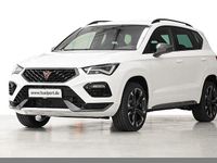 Neu Cupra Ateca 150 PS (110 kW) 2026 Bila weiß SUV