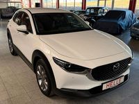 Gebraucht Mazda CX-30 Basis 122 PS (89 kW) 2021 Arctic white SUV