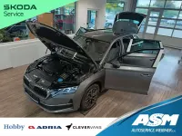 Neu Skoda Octavia 150 PS (110 kW) 2026 Grau Kombi