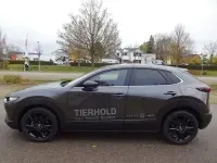 Gebraucht Mazda CX-30 Homura-Line 140 PS (102 kW) 2025 Machine gray SUV