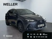 Neu Lexus NX450h+ Executive Line 309 PS (227 kW) 2026 Grau SUV