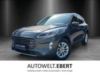 Gebraucht Ford Kuga Titanium X 224 PS (164 kW) 2022 Grau SUV
