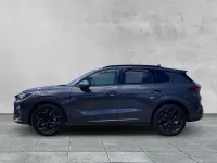 Gebraucht Cupra Terramar VZ 265 PS (194 kW) 2025 Violett SUV