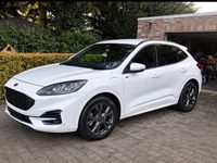 Gebraucht Ford Kuga ST-Line 224 PS (164 kW) 2021 Weiß SUV