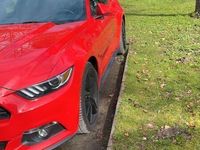 gebraucht Ford Mustang 2.3 EcoBoost - EZ 11/2017, 47TKM