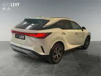 Neu Lexus RX450h Business Edition 292 PS (214 kW) 2026 Weiß SUV