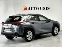 gebraucht Lexus UX 250h Business/Navi/Line Assistant/Klima