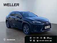 Gebraucht Lexus UX 250h Sport Design Packet 184 PS (135 kW) 2024 Schwarz SUV