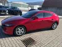 Gebraucht Mazda 3 2019 Rot
