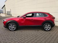 Gebraucht Mazda CX-30 Selection 122 PS (89 kW) 2023 Soul red crystal m SUV