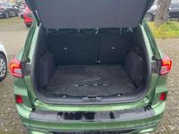 Gebraucht Ford Kuga ST-Line X 152 PS (111 kW) 2024 Bursting green SUV