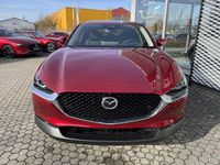 Neu Mazda CX-30 Exclusive-Line 186 PS (136 kW) 2025 SUV