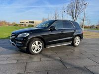 gebraucht Mercedes ML350 4MATIC Service Neu Bremsen Neu Luftfahrw.