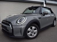 Gebraucht Mini Cooper Cabriolet Essential 136 PS (100 kW) 2021 Grau Cabrio
