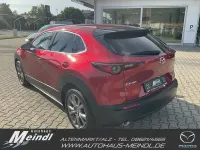 Gebraucht Mazda CX-30 Selection 186 PS (136 kW) 2022 Soul red crystal SUV