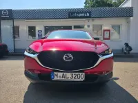 Gebraucht Mazda CX-30 Homura-Line 140 PS (102 kW) 2026 Rot SUV